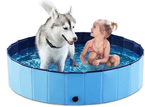 Jasonwell Dog Pool, best dog pools