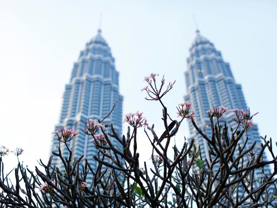FILE PHOTO: Flowers bloom in front of the Petronas Towers in Kuala Lumpur December 10, 2014. REUTERS/Olivia Harris/File Photo