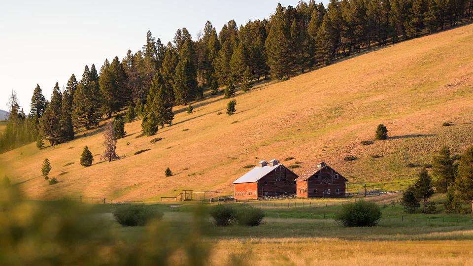 Barn near Helena Montana - Image.