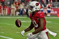 NFL: Seattle Seahawks at Arizona Cardinals