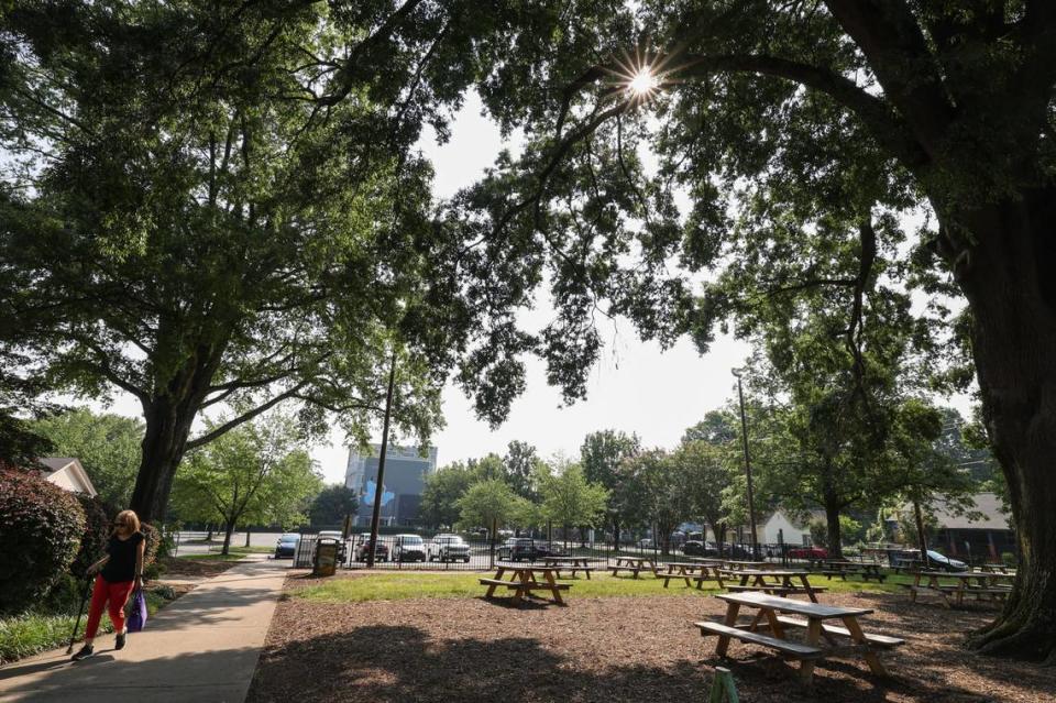 A massive willow oak tree shades the front lawn of the Johnston YMCA branch. NoDa residents fear for the fate of the tree with the sale of the property.