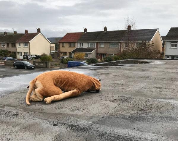 The 4ft soft toy was stuck on the church roof (Mercury Press)