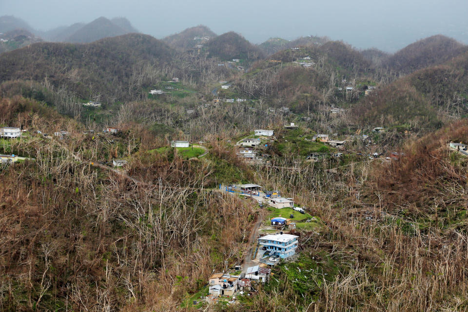 <p>Homes damaged by Hurricane Maria stand amid thousands of trees that have been exfoliated by Hurricane Maria in Puerto Rico, Oct. 5, 2017. (Photo: Lucas Jackson/Reuters) </p>