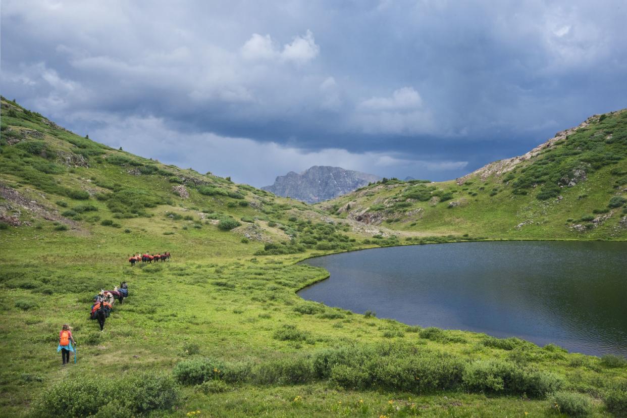 A herd of llamas and several hikers trek along a dirt trail  above tree line around Verde Lake in the San Juan Mountains on a cloudy summer day, Weminuche Wilderness, Rocky Mountains, Colorado, USA