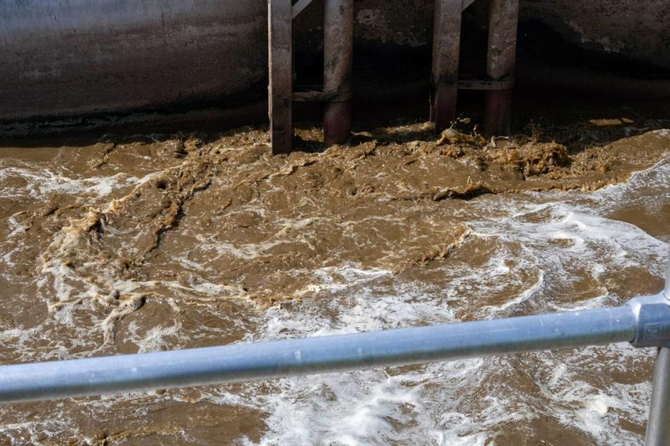 Liquefied manure flows from the barn into a reservoir before it’s sucked into the anaerobic digester.