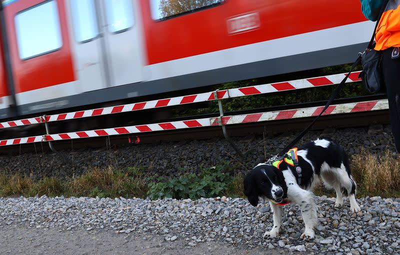 Sniffer dogs search for wildlife at track construction site of German railway DB in Frankfurt