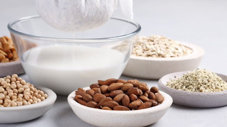 different bowls of nuts surrounding bowl of homemade nut milk