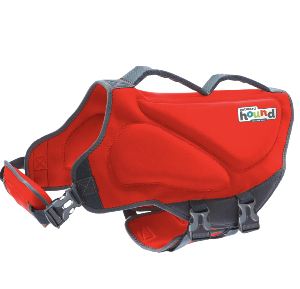 Dog Life Jacket Dawson Buoyant and Insulated Life Jacket for Dogs (Photo: Walmart) 