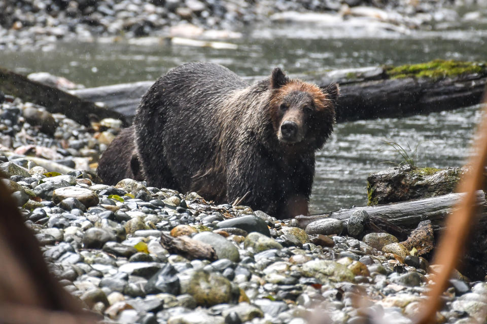 Alberga fauna de lo más diversa