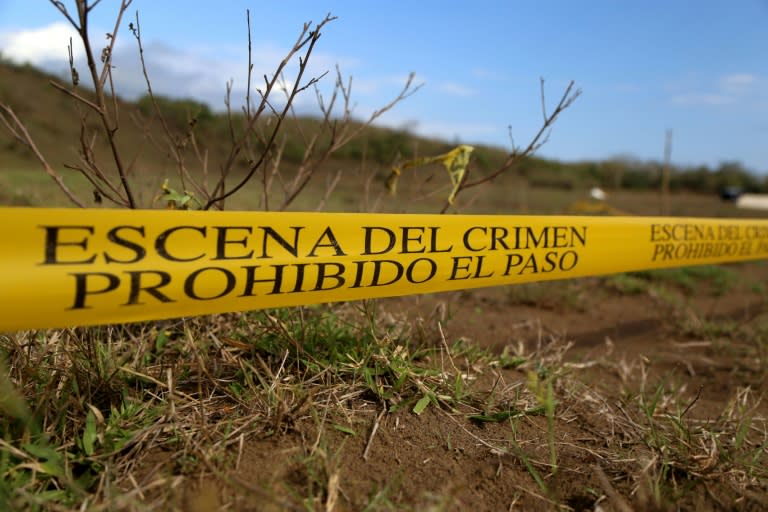 Mexican authorities discovered at least 166 bodies at a mass grave site in Veracruz state