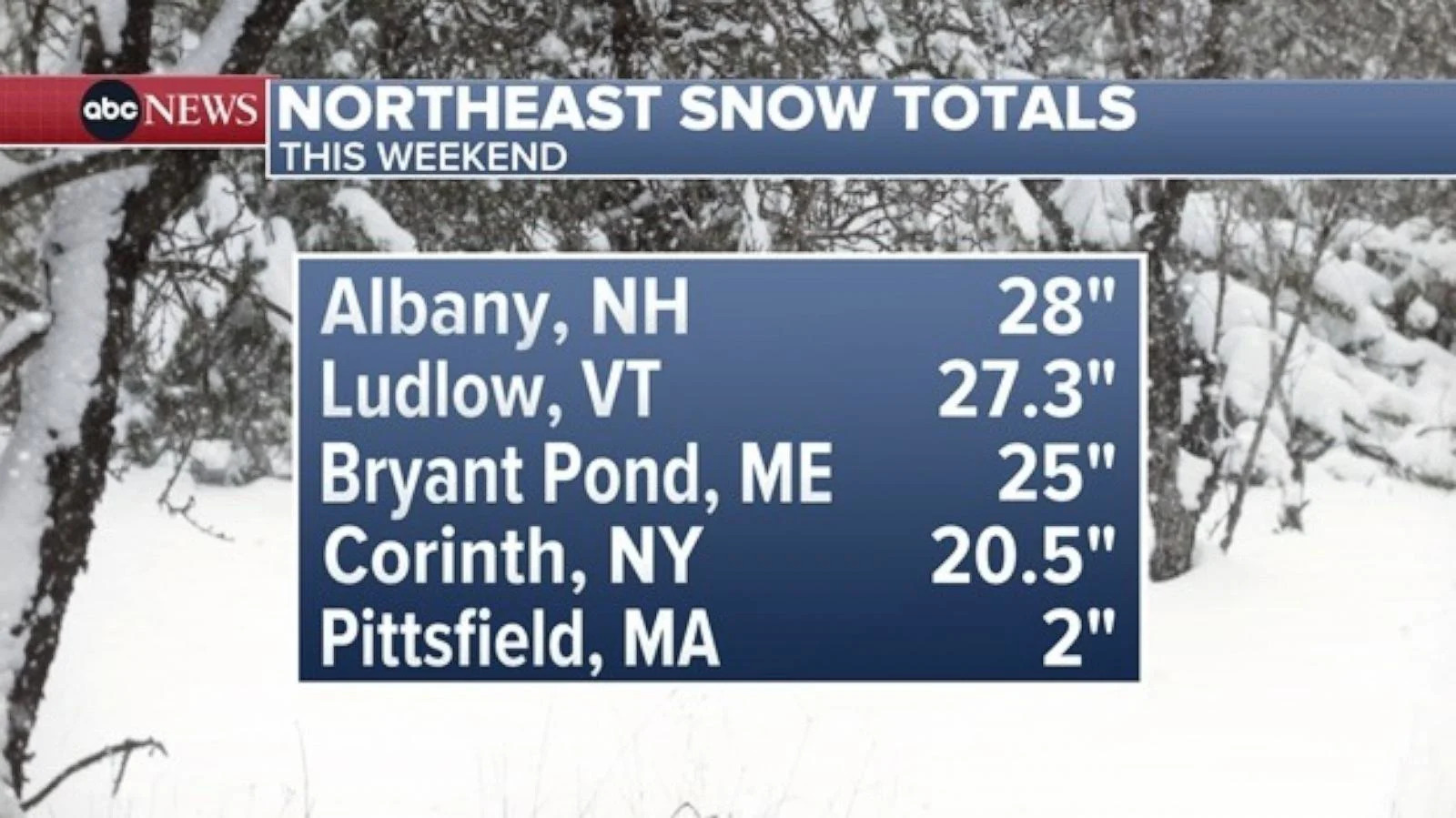 PHOTO: 14 states now under winter alerts for the next major storm to sweep across the country. (ABC News)