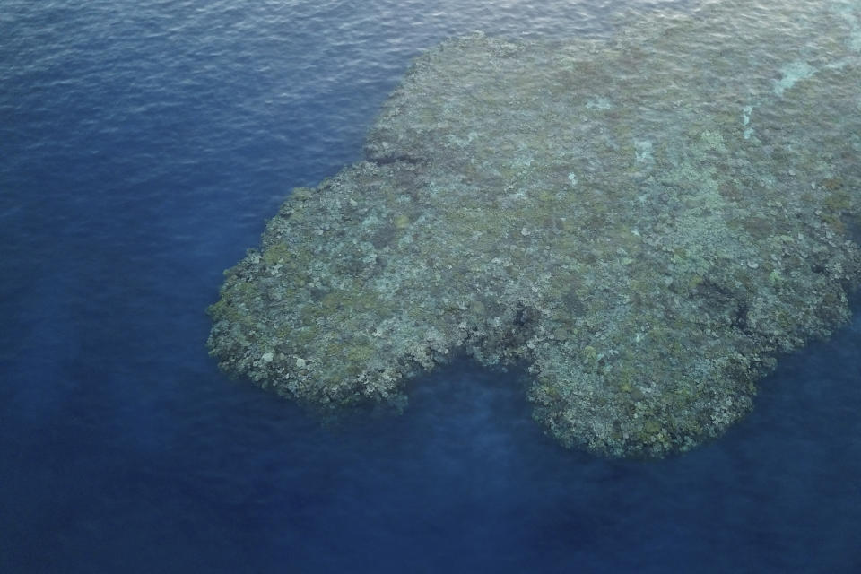 FILE - Corals on the Great Barrier Reef are visible in Gunggandji Sea Country off coast of Queensland in eastern Australia on Nov. 14, 2022. Humanity still has a chance, close to the last one, to prevent the worst of climate change’s future harms, a top United Nations panel of scientists said Monday, March 20, 2023. The report mentions “tipping points” around that temperature of species extinction, including coral reefs, irreversible melting of ice sheets and sea level rise on the order of several meters (several yards). (AP Photo/Sam McNeil, File)