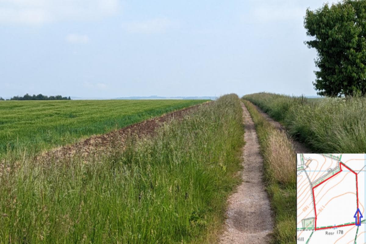 View from the south eastern corner of the application site looking north along the eastern boundary. <i>(Image: Wiltshire Council)</i>