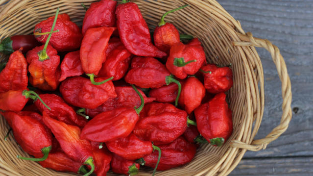 Hot Pepper Heat Scale and the Scoville Scale – Pepper Joe's