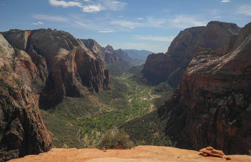 A view of Zion National Park, which is part of "a really iconic landscape" in the Southwest that Steven Kannenberg, a postdoctoral scholar at the University of Utah, said will be affected by the 'unprecedented' juniper tree dieback.