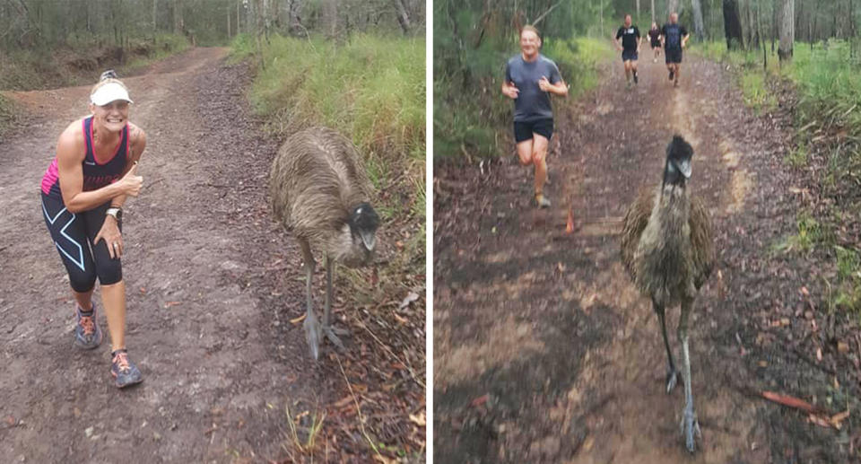 Fluffy is part of the Nambour Parkrun community, turning up each Saturday to pose for selfies and keeping runners company. Source: Nambour Parkrun / Facebook