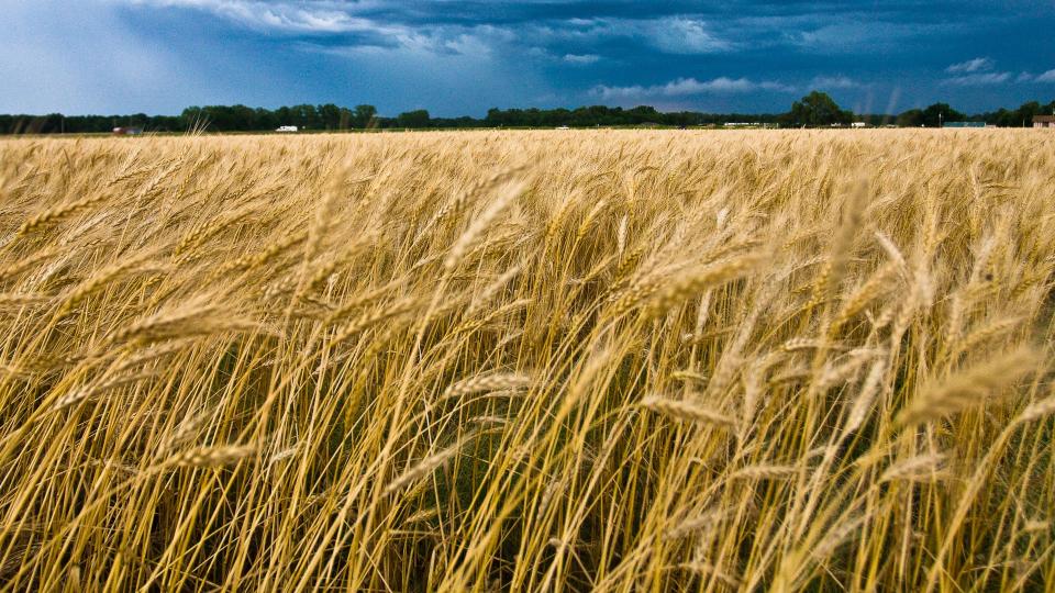 Oklahoma-agriculture