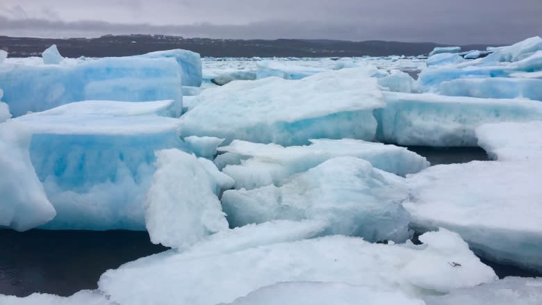 'Out of time': Scientists sound alarm ahead of White House Arctic meeting