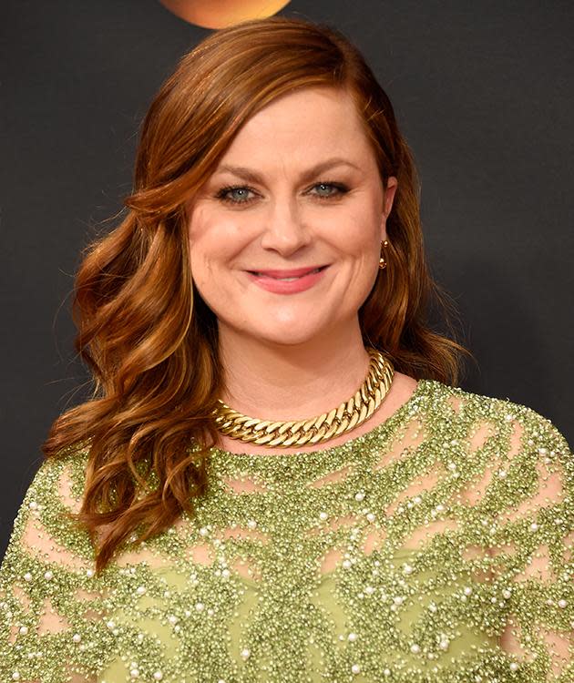 Amy Poehler (Photo: Getty)