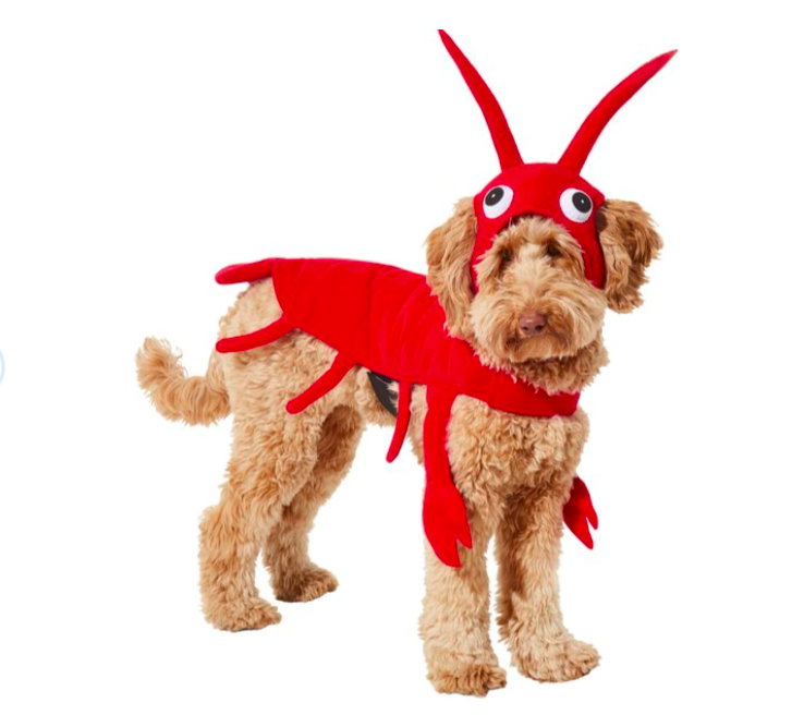 Red Lobster Dog Costume