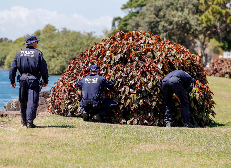 NSW Police Public Order and Riot Squad members search the banks of the Tweed River on Monday. Source: AAP