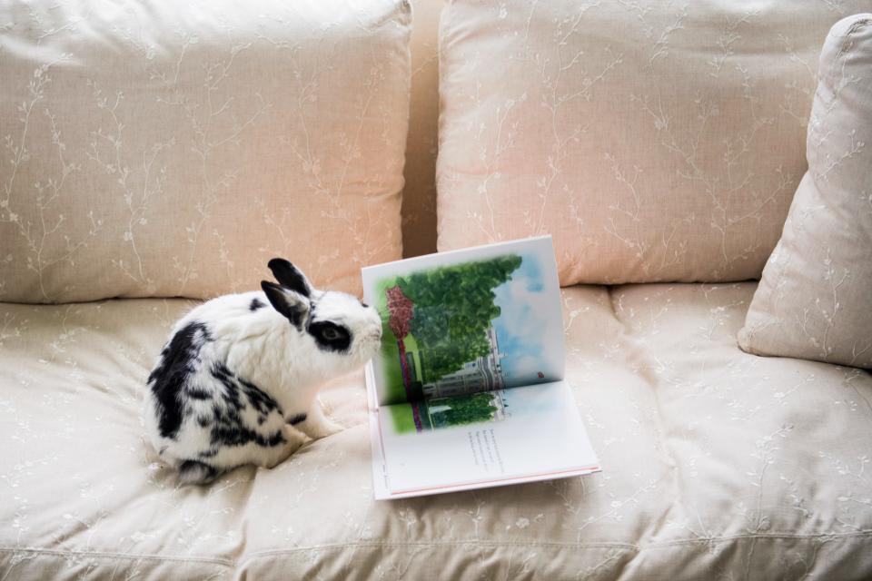 Pence’s daughter Charlotte wrote the book from the perspective of the family’s pet named Marlon Bundo.