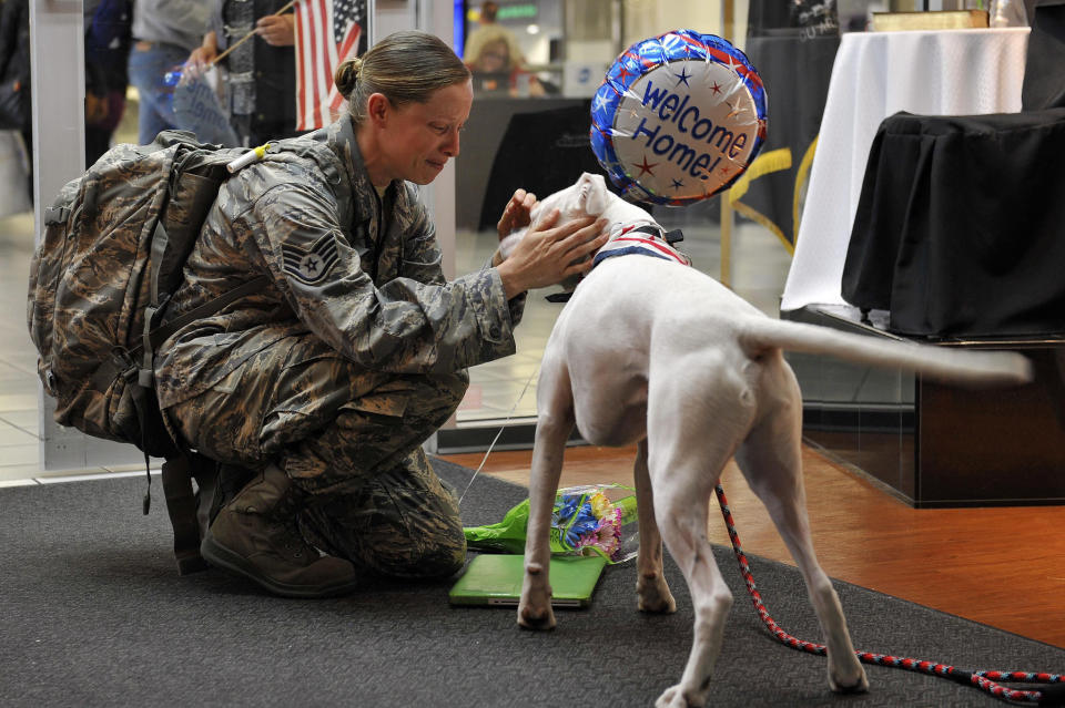 Staff Sgt. Arin Vickers, assigned to the 435 Supply Chain Operations Squadron, is greeted by her dog when she arrives at the St. Louis Airport USO, in St. Louis, May 6, 2015. Vickers was gone for six months, and her friends and family were there to greet her and surprise her by bringing along Baxter.