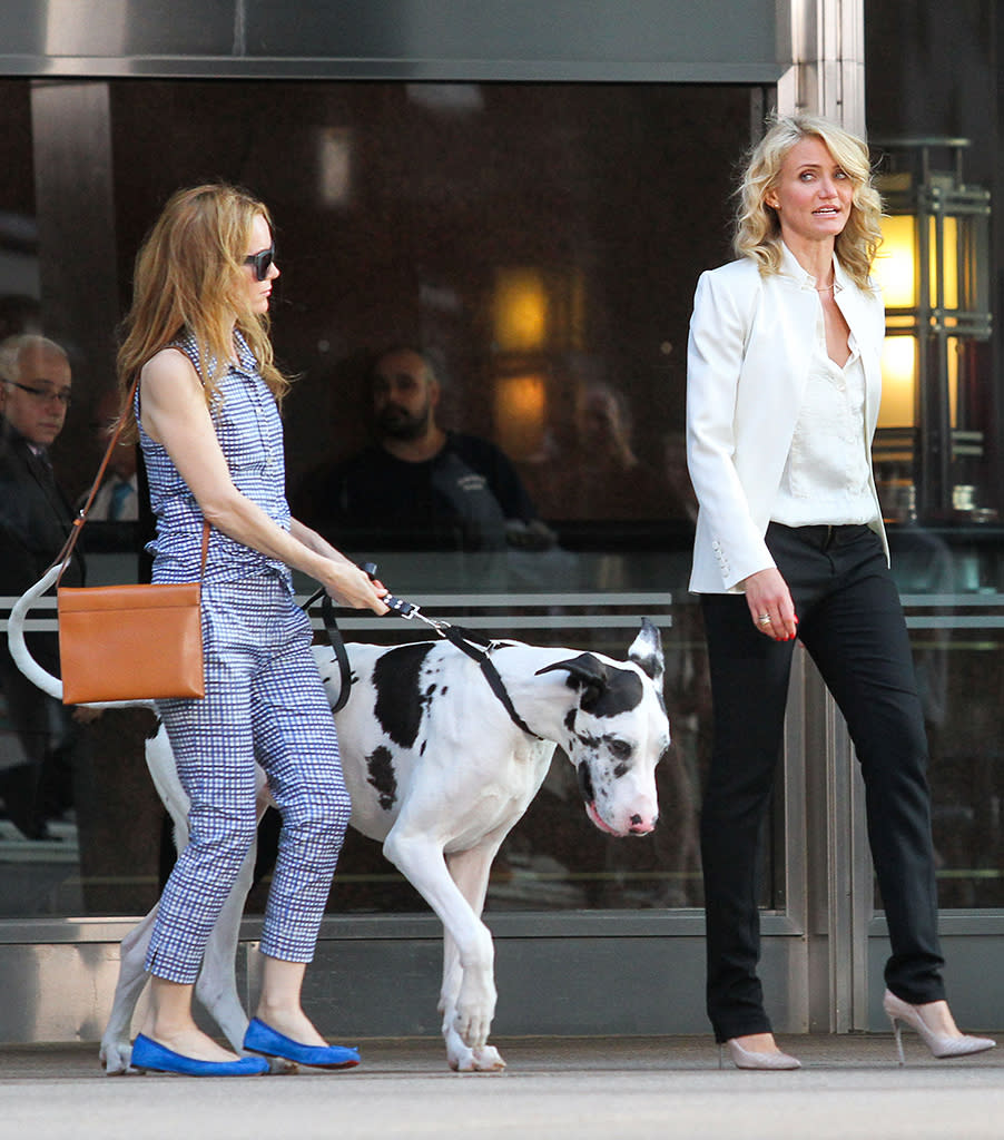 Cameron Diaz and Leslie Mann have an argument while shooting, along with a large dog on the set of