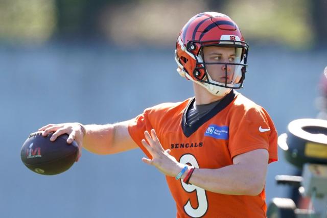 Bengals quarterback Joe Burrow calls for laws to limit access to 'those  crazy guns that everybody's using