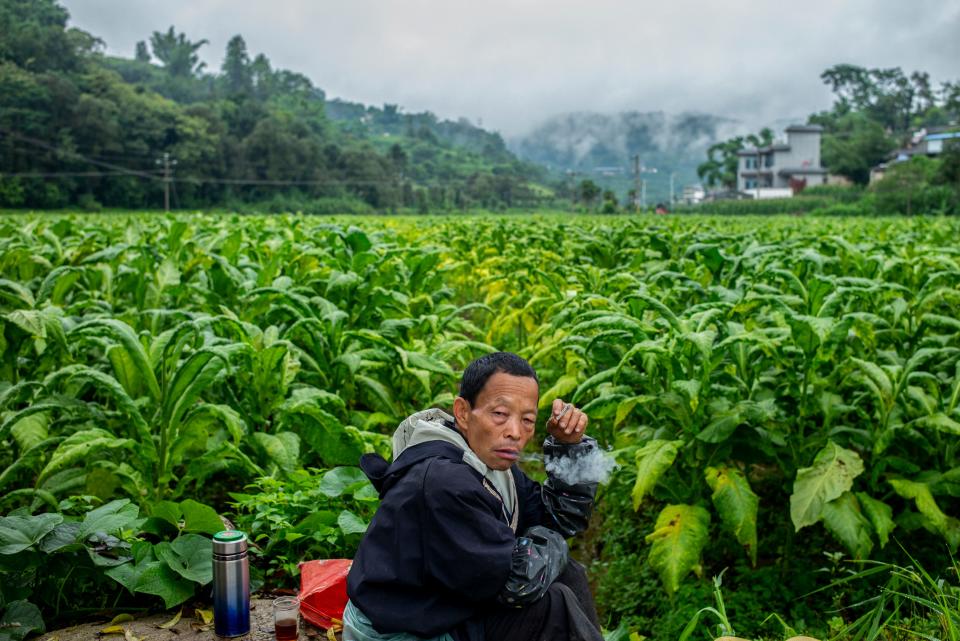 In a tobacco growing area in the mountains of Yunnan, China, a tobacco farmer takes a smoke break by the roadside.