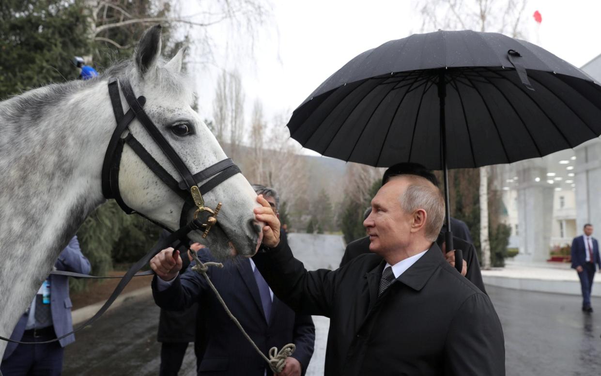Russian President Vladimir Putin strokes an Orlov Trotter - Sputnik Photo Agency via Reuters