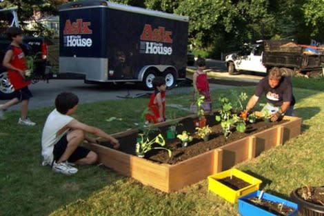 Build a raised vegetable garden