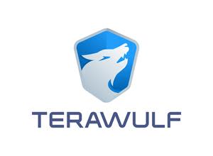 Terawulf Inc.