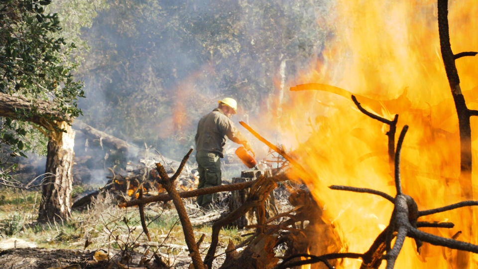 David Bryden is an Assistant Engineer at Figueroa Fire Station and a part of the team that carries out controlled burns during the off season. 