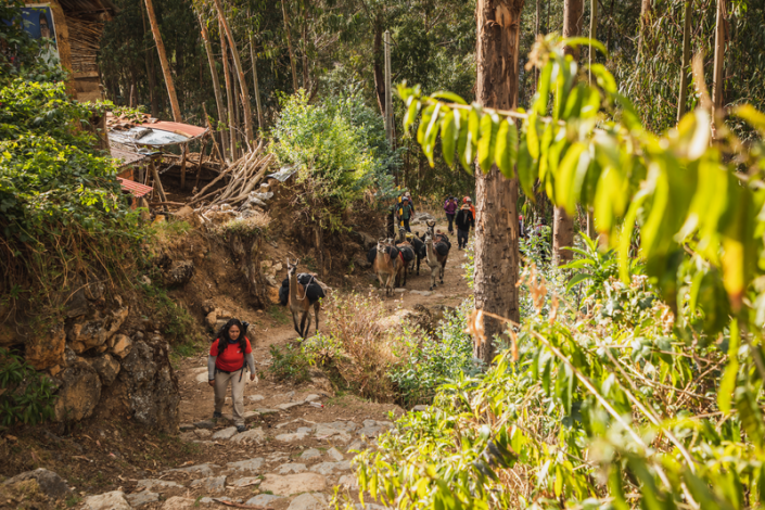 Intrepid Travel Peru