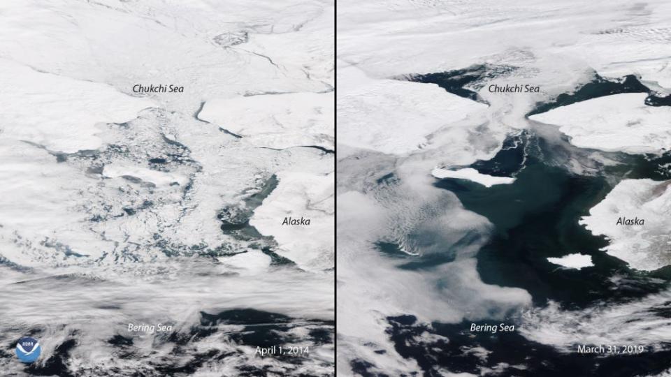 <p> Images released in 2019 highlighted the transformation of the planet&apos;s surface as a result of climate change. At the point when the Arctic&apos;s sea ice was supposed to reach its maximum thickness, scientists found that it was almost gone across the Bering Sea. In early April, the sea was almost entirely free of ice, scientists with the National Oceanic and Atmospheric Administration (NOAA) pointed out. The&#xA0;image shows the iced-over Bering Sea&#xA0;this time of year in 2014 (left), and what it looked like on March 31, 2019 (right). </p>