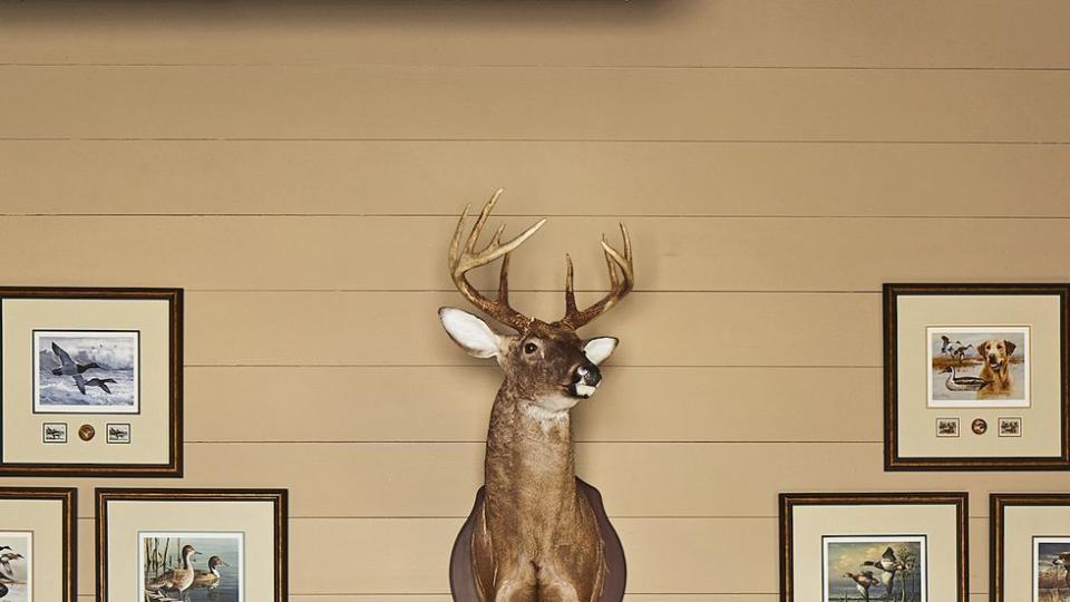 a pair of twin beds dressed in brown and blue linens and a deer mount hangs on the wall in between