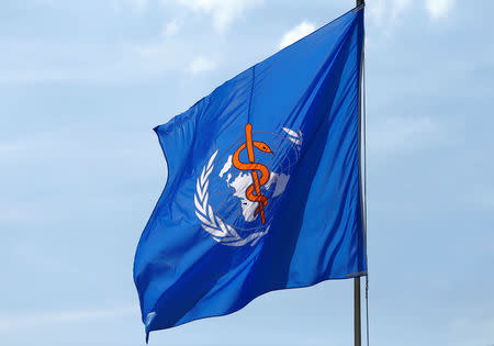 A WHO flag is pictured between rounds of the election of the new Director General of the World Health Organization (WHO) during the 70th World Health Assembly at the United Nations in Geneva, Switzerland, May 23, 2017. REUTERS/Denis Balibouse