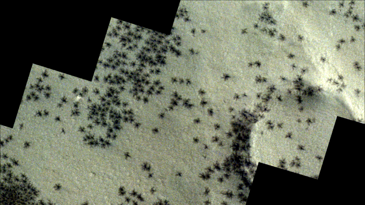 An Unsettling New Image Shows 'Spiders' on Mars