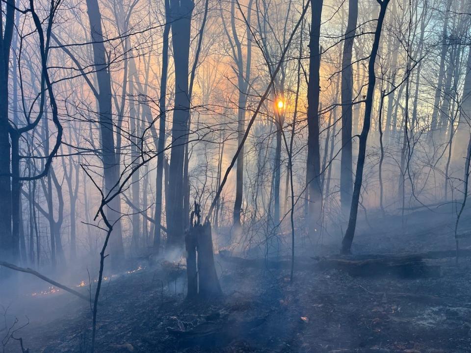 A wildfire off of East Fork Road in Marshall is now 70% contained, and has impacted roughly 55 acres, according to the N.C. Forest Service.