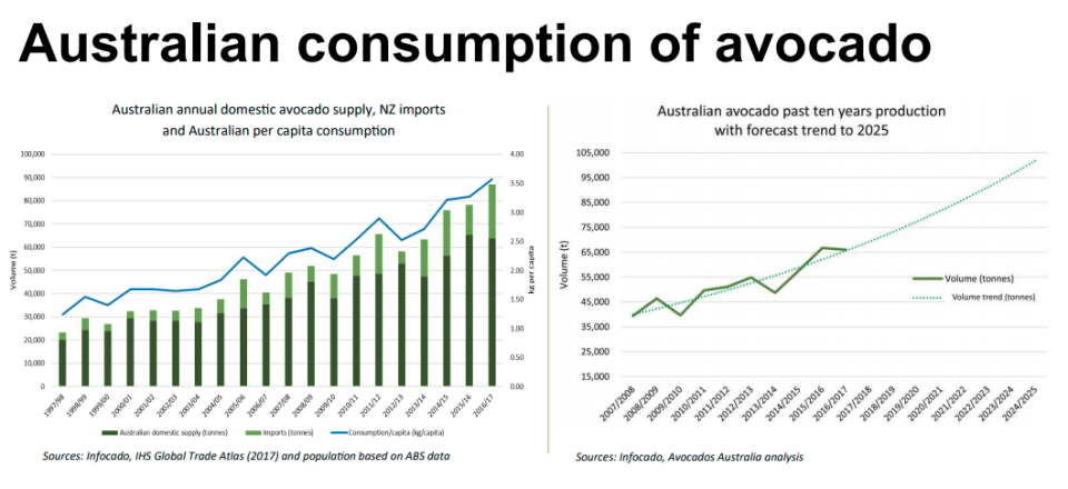 Source: Avocados Australia