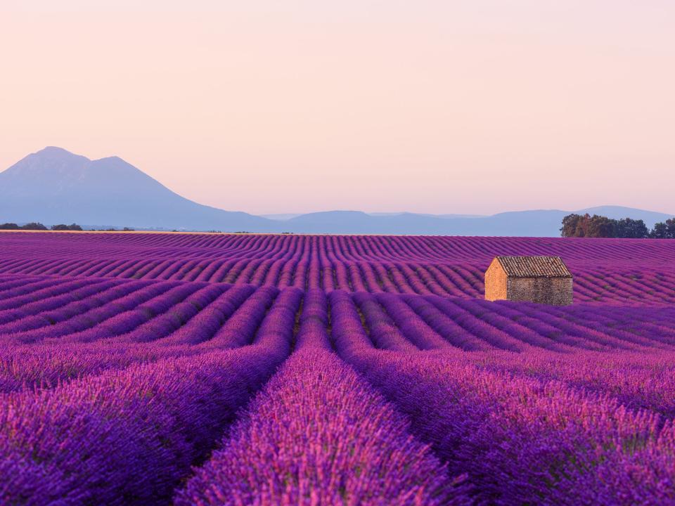 <p>Spontaneous trips to stay with friends in Provence are out</p> (iStock)