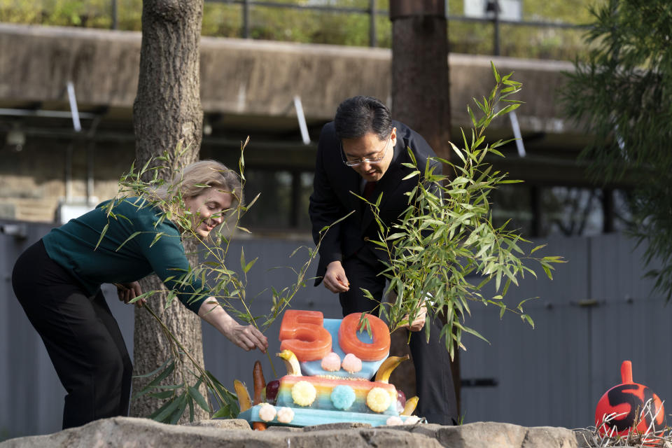 Zoo Director Brandie Smith and Chinese Ambassador to the U.S. Qin Gang place bamboo on a fruitsicle cake during the celebration of the Smithsonian's National Zoo and Conservation Biology Institute, 50 years of achievement in the care, conservation, breeding and study of giant pandas at the Smithsonian's National Zoo in Washington, Saturday, April 16, 2022. (AP Photo/Jose Luis Magana)