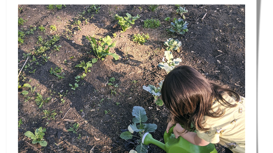 a girl picking flowers in a garden