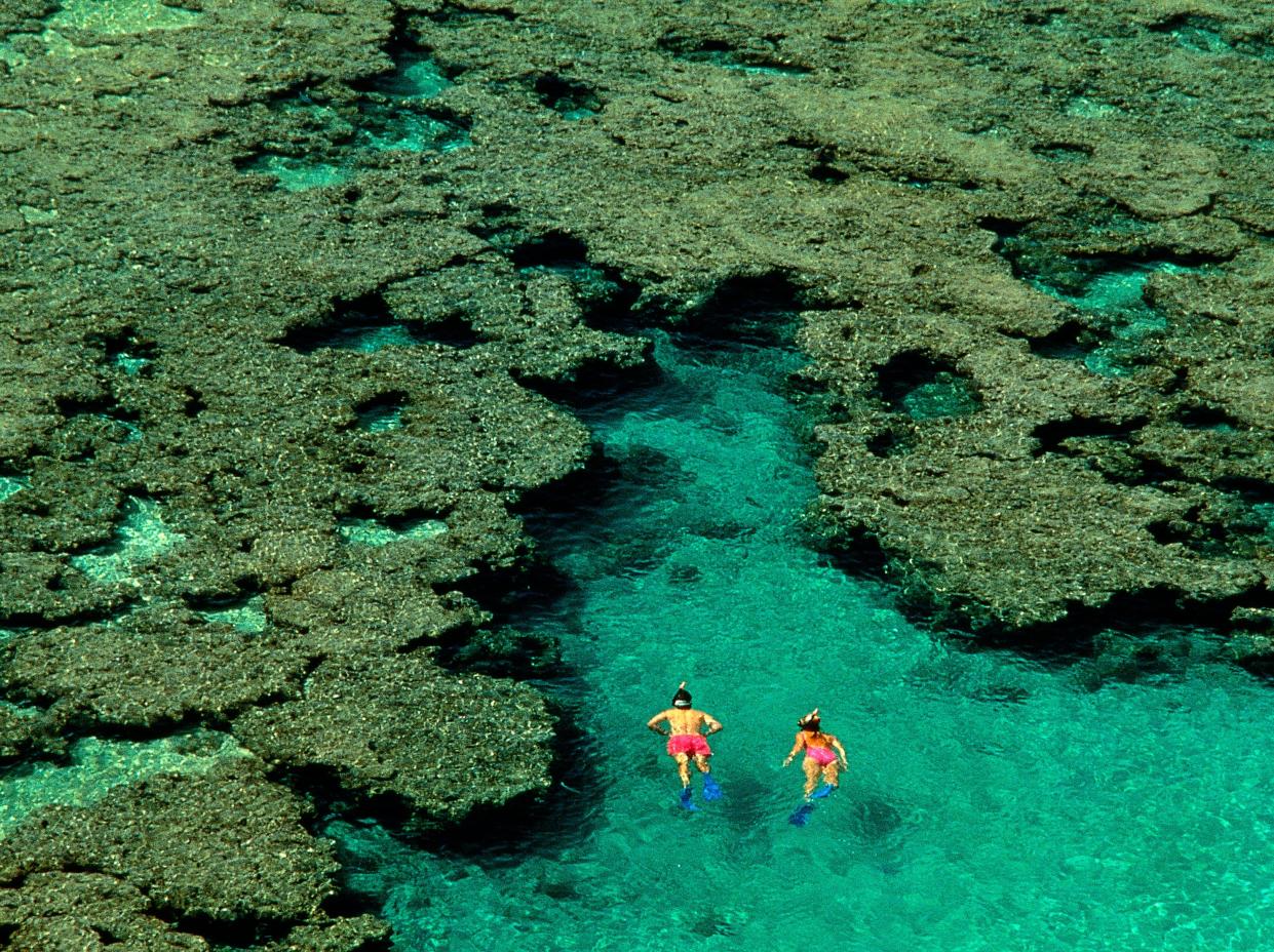 A stock image of a couple snorkeling in Hawaii