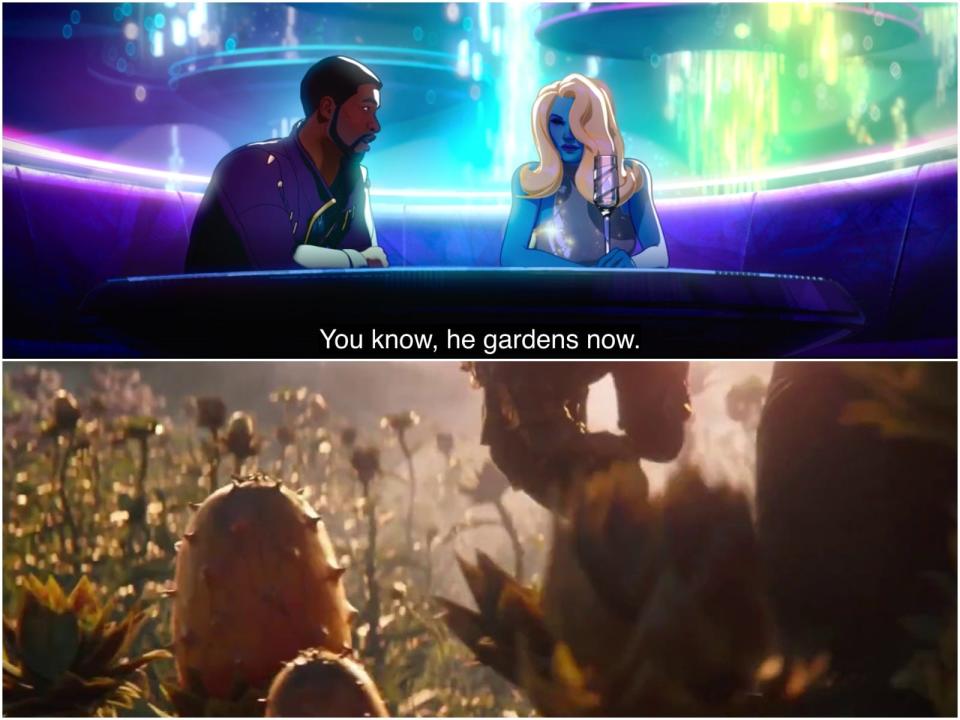 What If Thanos gardens