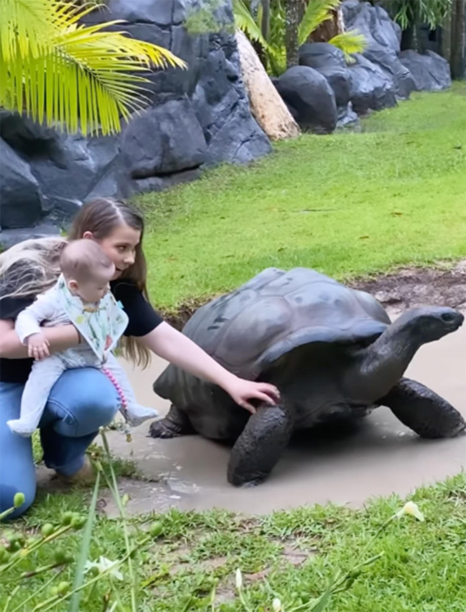 Bindi Irwin holds her daughter, Grace Warrior next to a large tortoise. Photo: Instagram/bindisueirwin.