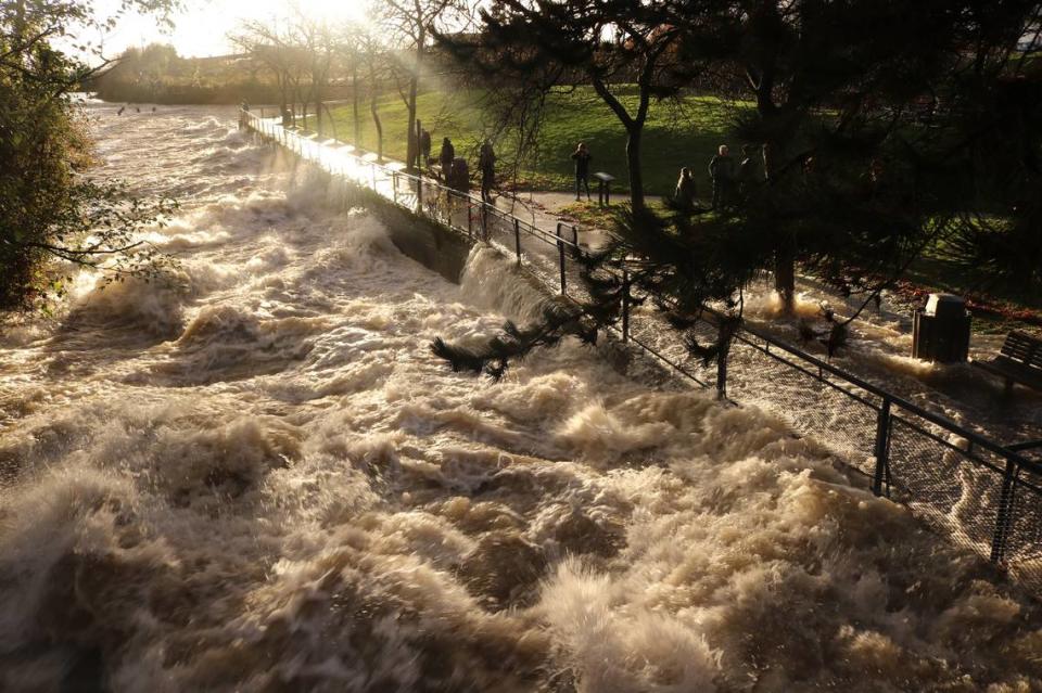 Whatcom Creek overflowed onto the sidewalks at Maritime Heritage Park in Bellingham on Monday, Nov. 14.