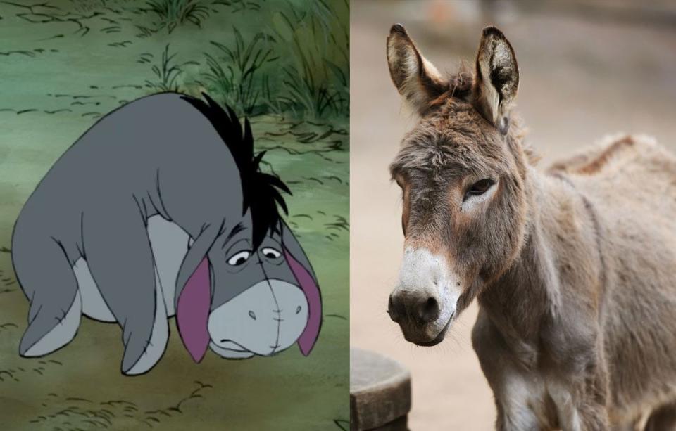 eeyore donkey