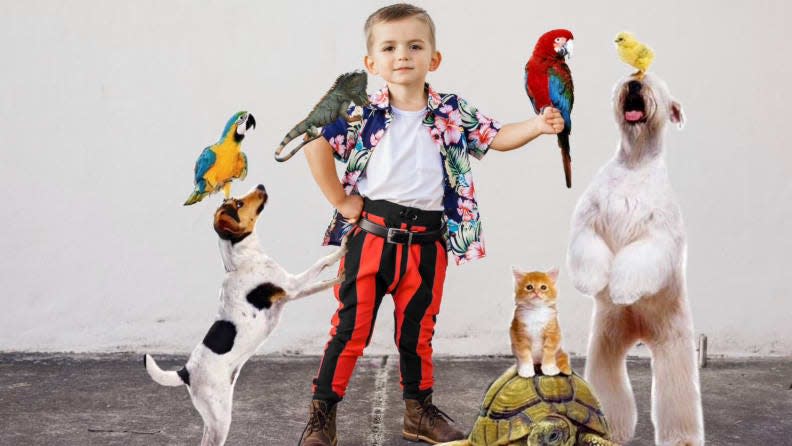 A miniature version of Ace Ventura is officially on the case.